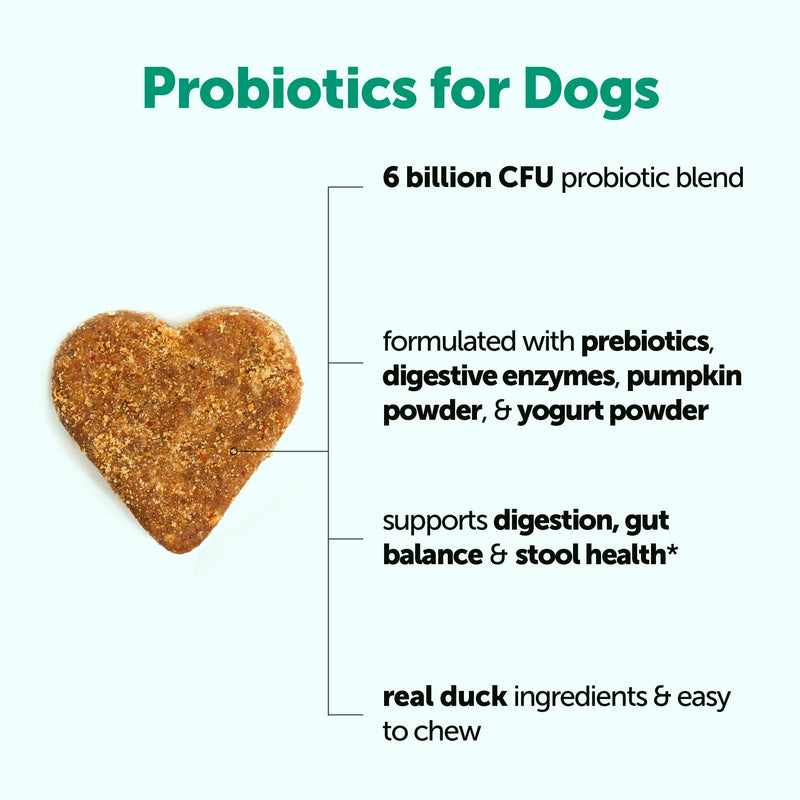 Micro Ingredients Probiotics for Dogs, 240 Soft Chews | Daily Digestive Health Probiotic Chews for Dogs with Prebiotics & Enzymes | Supports Gut Flora & Immune Function* | Non-GMO, Duck Flavor