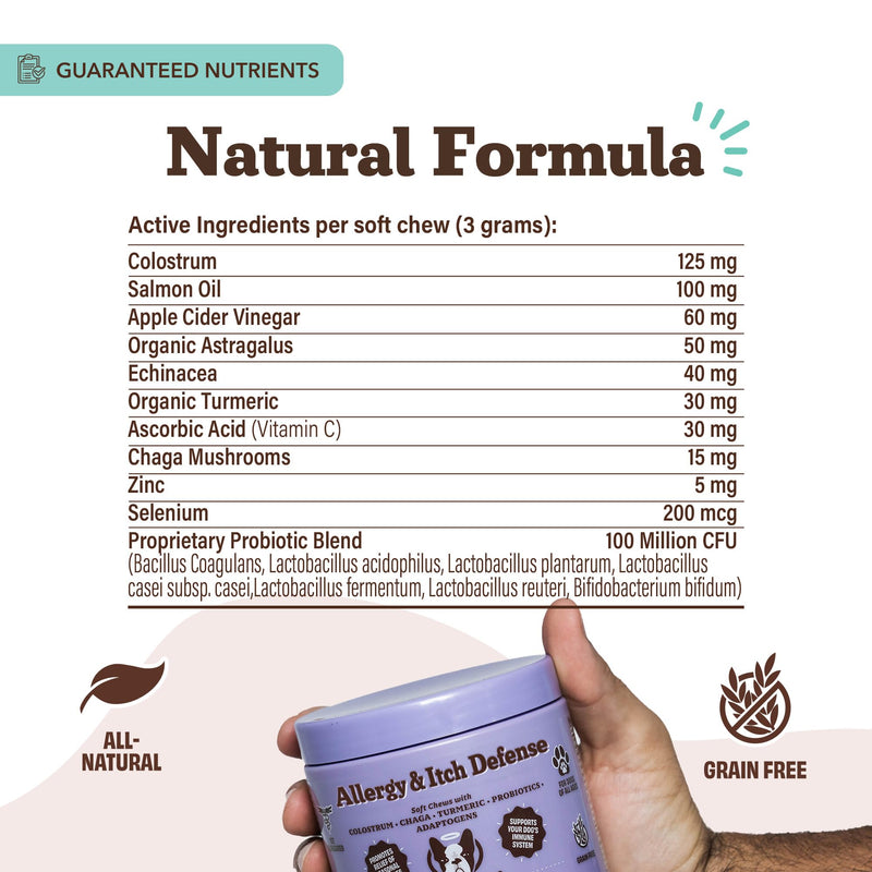 Natural Dog Company Allergy & Itch Defense Chews – Supports Seasonal Allergy, Itch, Skin, Coat & Immune Health, Gut Health with Probiotics, Colostrum & Salmon Oil, Grain-Free Dog Supplement, 90 ct 90 Count