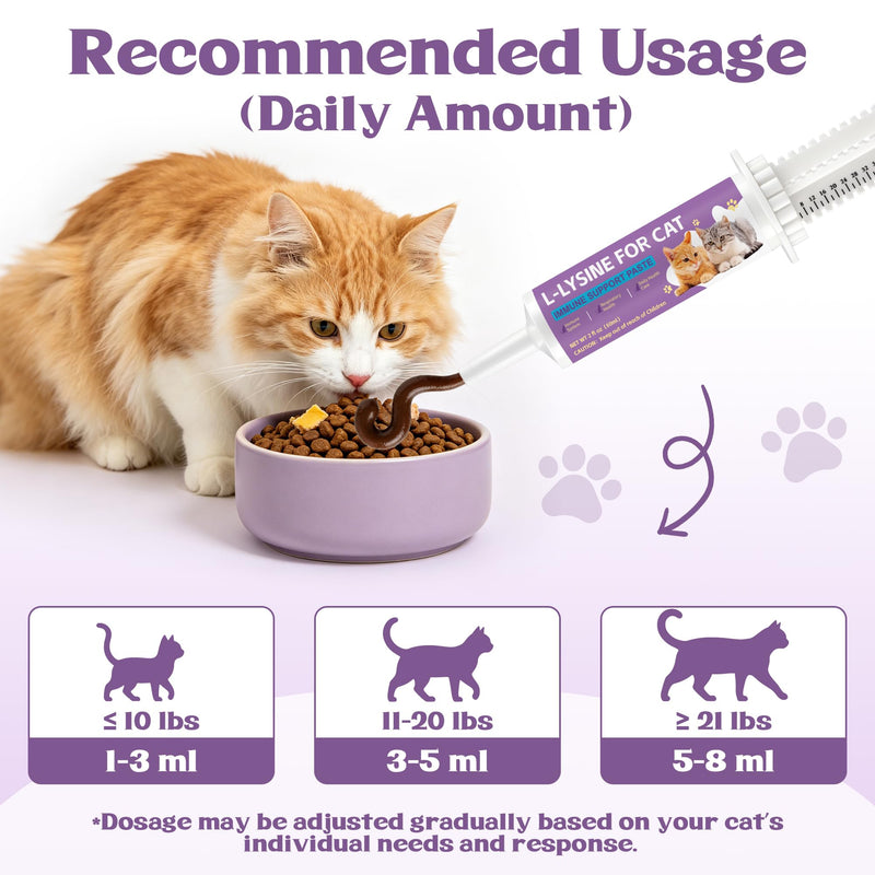 L-Lysine for Cats - Lysine for Cats Supports Immune System, Respiratory & Eye Health - Cat Supplement with Taurine, Omega-3, Vitamins & Herbal Blend - Chicken Flavor Gel, Easy to Feed, 60 ML (2 packs) 2PCS