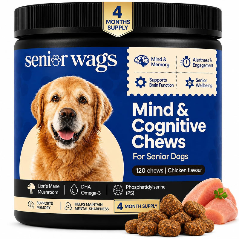 Mind & Cognitive Chews for Senior Dog | Brain Function, Memory & Alertness Support | Dog Supplements with Lion's Mane, DHA & Phosphatidylserine | 120 Chicken Flavour Chews