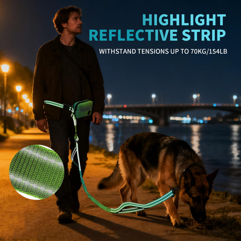 Hands Free Dog Leash with Removable Zipper Pouch, Dual Padded Handles and Durable Bungee for Walking, Jogging and Running-Your Dog (Large, 35-140 lbs-Cyan Cyan