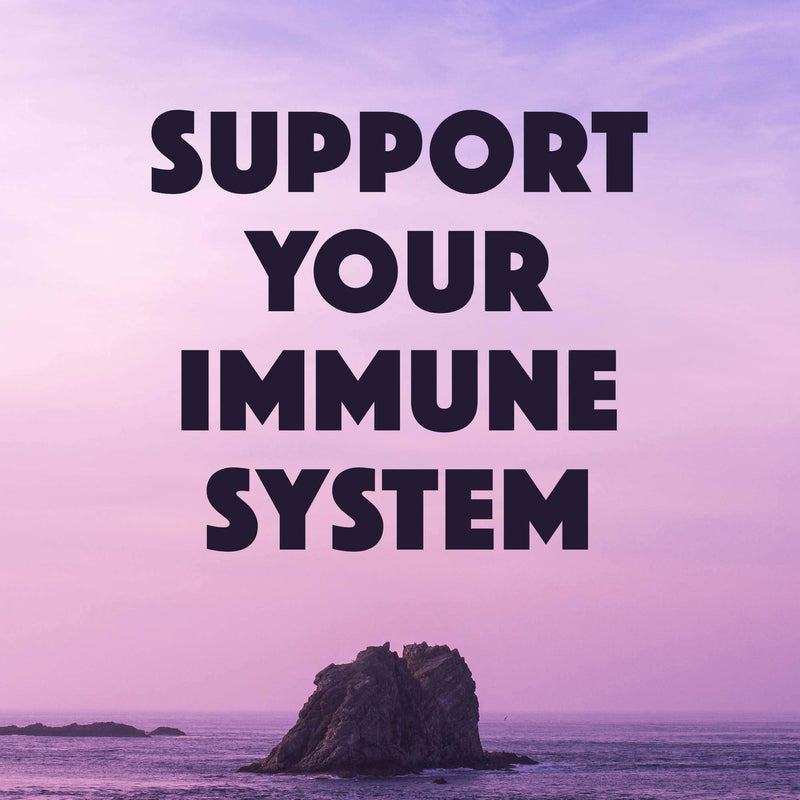 Natural Rhythm Ah Chews! Immune Booster Lozenges for Kids and Adults, No Added Sugar, with Elderberry, Zinc & Vitamin D3, 60 Capsules