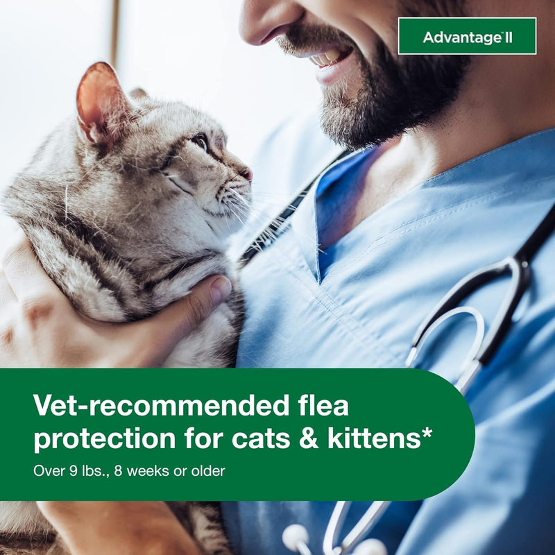 Bundle of Advantage II Vet-Recommended Flea Treatment & Prevention | Cats Over 9 lbs. + Advantage Carpet & Upholstery Spot Spray 16 oz. Large Cat + Household Spray