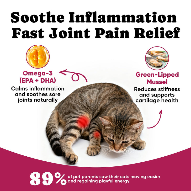Cat Joint & Ear Care Support Bundle – Joint Support Creamy-Filled Treats with Ear Cleaning Finger Wipes