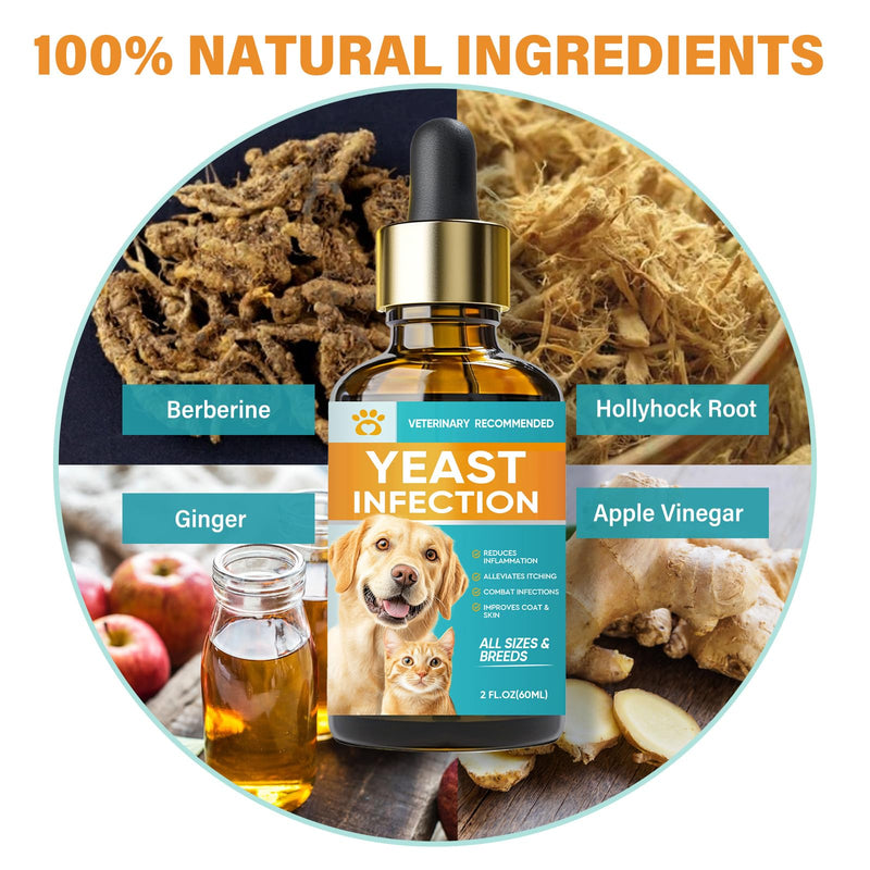 Yeast Infection Treatment for Dogs, Natural Dog Ear Infection Treatment, Support Allergy, Inflammation and Itch Relief, Herbal Drops Supplement for Pets, 2 Fl oz, 01A - BeesActive Australia