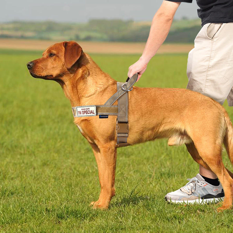 No Pull Dog Harness with Soft Padded Handle,Reflective Strip Escape Proof and Quick Fit to Adjust Dog Harness,Easy for Training Walking for Small & Medium and Large Dog(Brown,L) L Brown - BeesActive Australia