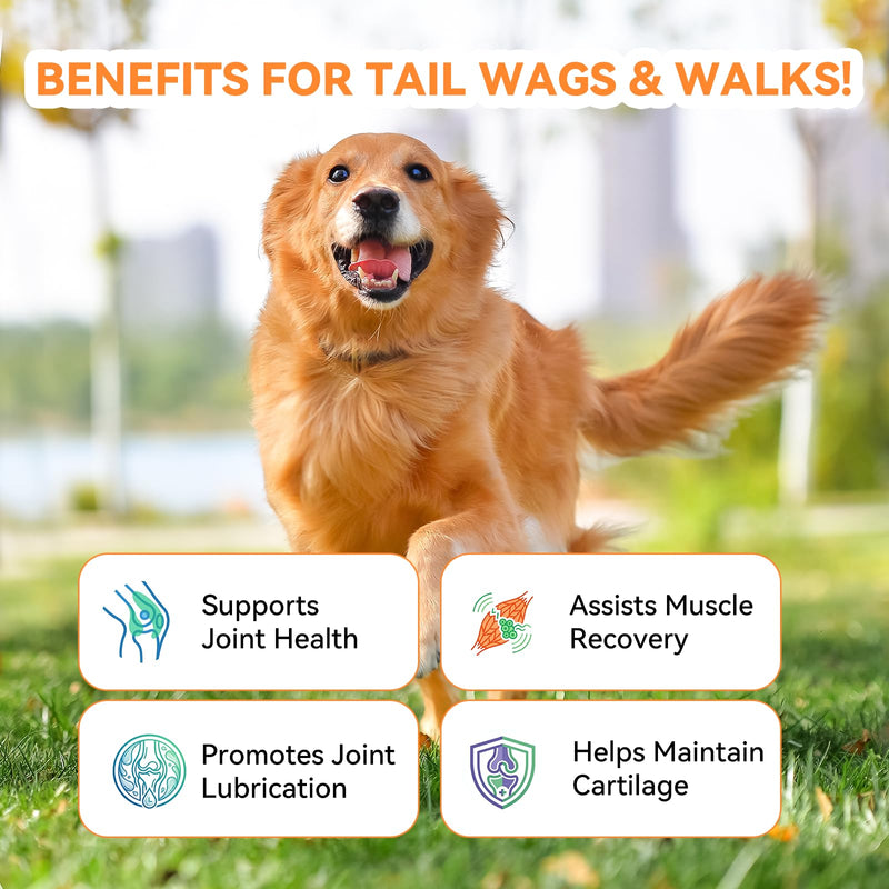 PUAINTA Hip & Joint Soft Chews for Dogs & Cats – Glucosamine, Chondroitin, Collagen & MSM for Joint Support, Mobility & Flexibility, Senior & Small/Medium Breeds, Chicken Flavor (90 Count)