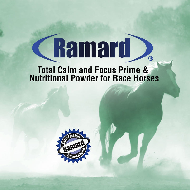 Total Calm and Focus for Horses Supplement - Magnesium & Calming Formula for Horse Show, Training, & Performance Mental Alertness without Drowsiness, Show Safe, Perfect Prep for Horses 1 pack 1 Pack, 1.12 lb - BeesActive Australia