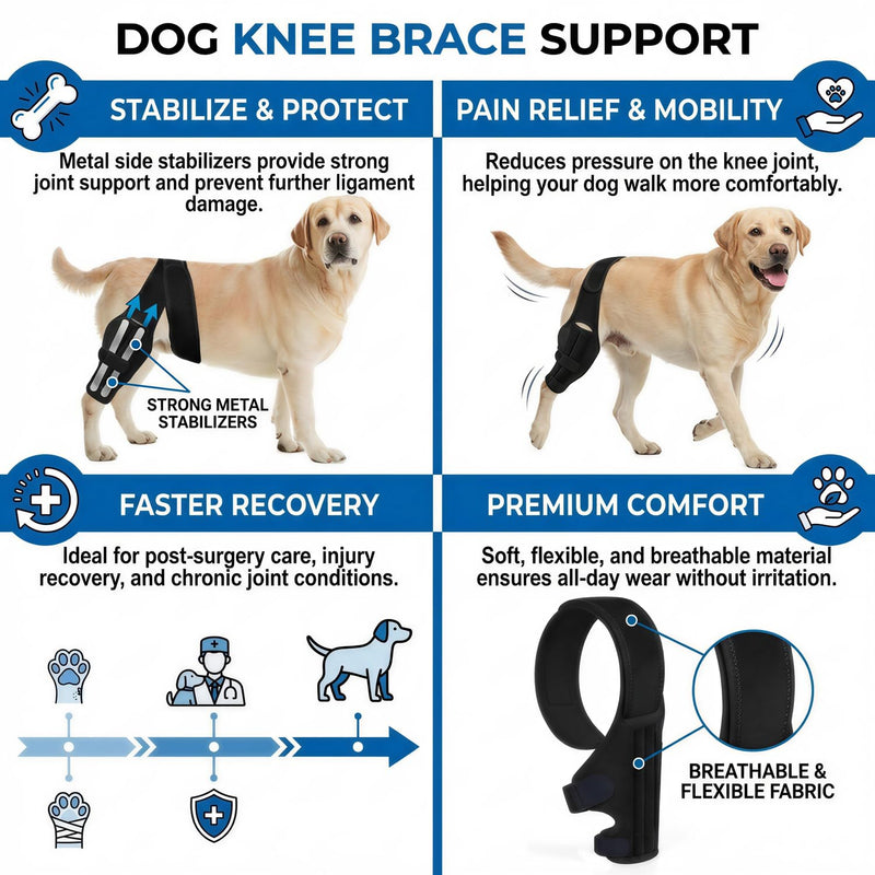 Dog Knee Brace for Torn Acl and Ccl Injuries, Adjustable Dog Acl Brace Hind Leg Support with Metal Stabilizers, Knee Brace for Dogs Back Leg Helps with Joint Pain, Surgery Recovery (M) M
