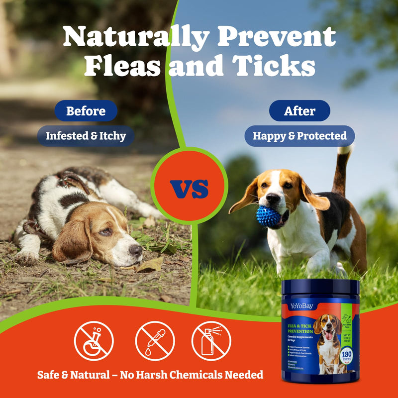 Flea and Tick Prevention for Dogs Chewable - 180 Soft Chews, Duck & Pear Flavor - Dog Flea and Tick Treatment Chewable, Natural Defense- Dog Immune Support Supplement 180 Count (Pack of 1)