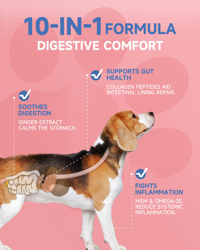 Collagen for Dogs & Cats - Skin and Coat Supplements- Joint Supplements - Support Digestion & Gut Health - with Collagen Peptides MSM, Omega 3 Hyaluronic Acid, Biotin - Roast Chicken Flavor