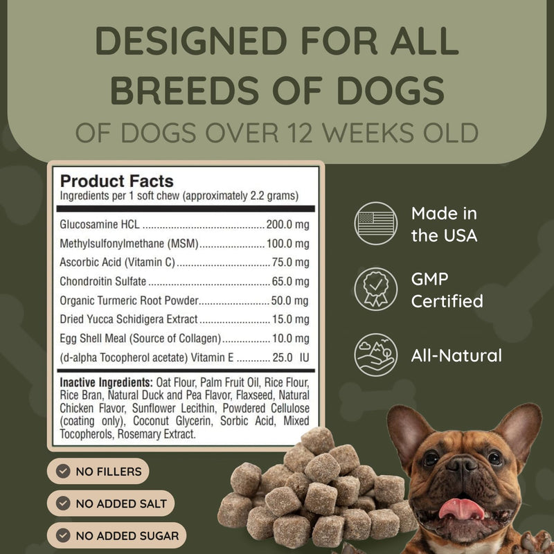 Asher House Wellness Hip and Joint Supplement for Dogs - Natural Soft Chew with MSM, Chondroitin, Glucosamine, Vitamins - Promotes Joint Health & Pain Relief Senior & All Dog Breeds, Large, 120 Chews - PawsPlanet Australia