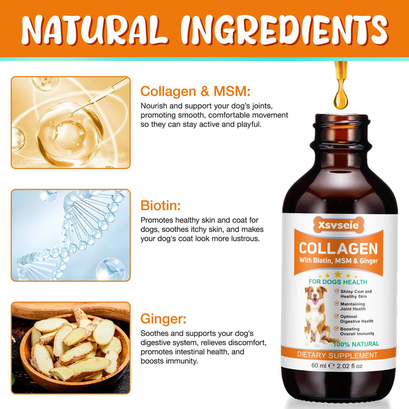 Liquid Collagen for Dogs 60ml - Supports Hip Flexibility,Collagen for Dogs - Skin Health & Itch Relief,Promotes Digestion, Immunity & Coat Vitality,Joint Supplement for Dog 1Pcs