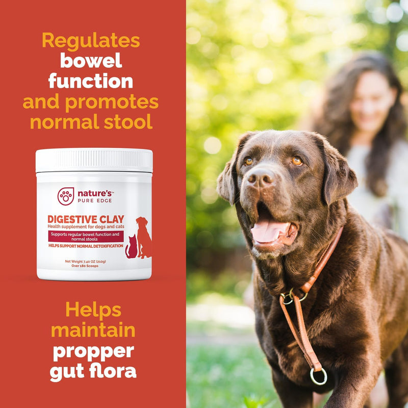 Rx Clay for Digestion for cat and Dog Stomach Relief. Cat and Dog Anti Diarrhea Medication. Cat and Dog Stomach Upset Medicine for cat and Dog Diarrhea. Extra Large 210 Grams. Veterinary Grade. - BeesActive Australia