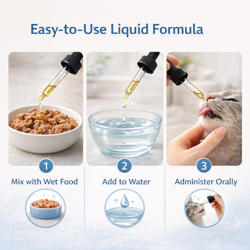 Advanced Probiotic Drops for Cats - Supports Digestive & Immune Health - Easy-to-Use Liquid Formula, Bacon Flavor, Works for All Cat Sizes - 2oz (1) 1