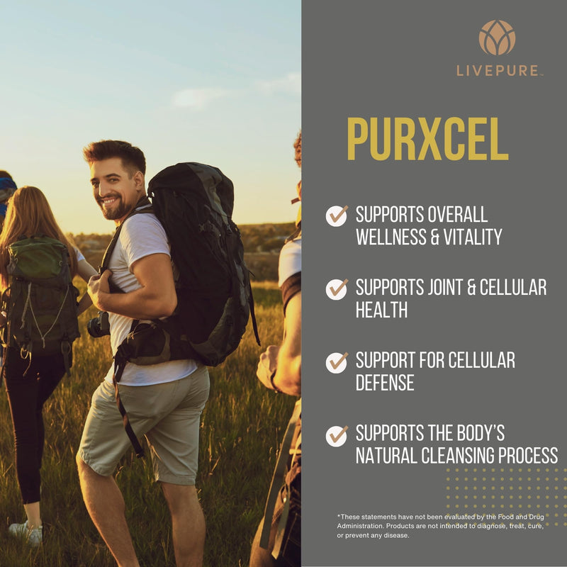 PURE PurXcel Antioxidant Supplement | 30 Capsules | Potent Antioxidant Blend with Glutathione & Superoxide Dismutase | Supports Skin, Joints & Natural Cleansing