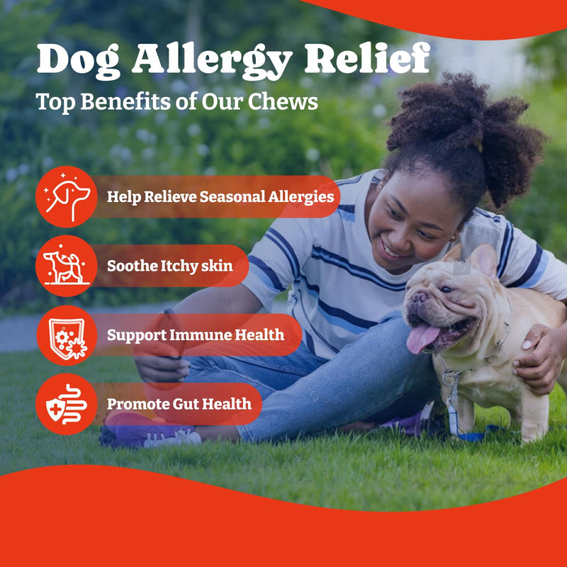 Dog Allergy Relief Chews – 70 Count + Flea Defense Chews 180 Count (1.0 Formula)