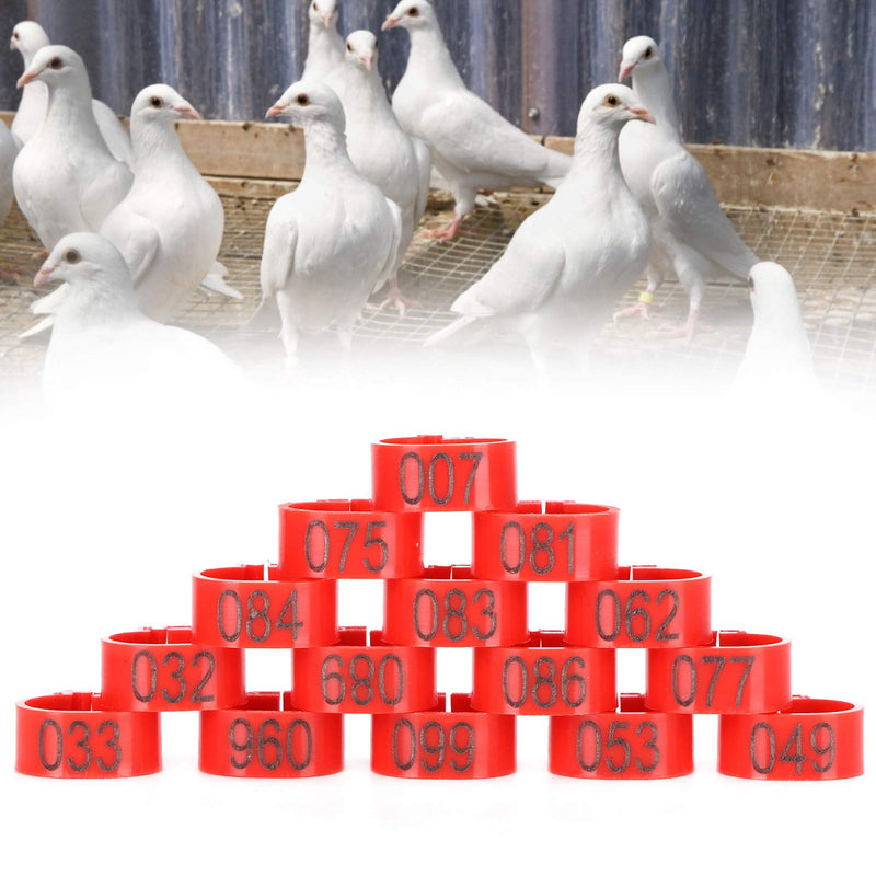 Pigeons Leg Ring, 100Pcs Plastic Bird Identify Clip Ring Poultry Markers Identify Foot Bands for Ducks Chicks Chicken Guinea Pigeons Goose Bantam Finch Lovebird Quail 12mm - PawsPlanet Australia