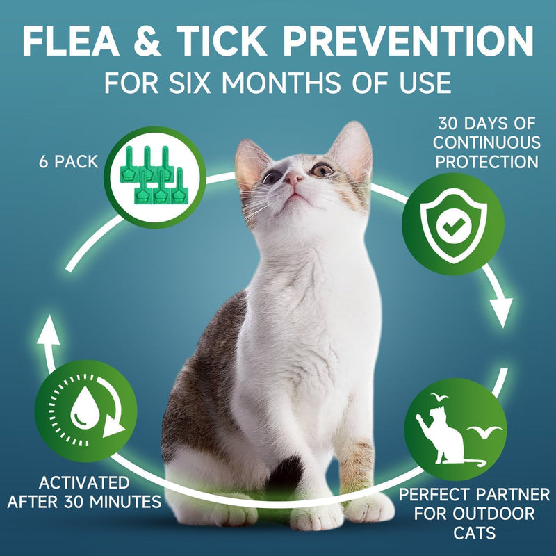 Flea Treatment for Cat Flea and Tick Prevention for Cats Kitten, 6-Month Supply, Cat Flea Treatment & Control, Repellent, Fast Acting Topical Drops for Cats, Over 1.5 lbs, 24-Hour Protect - BeesActive Australia