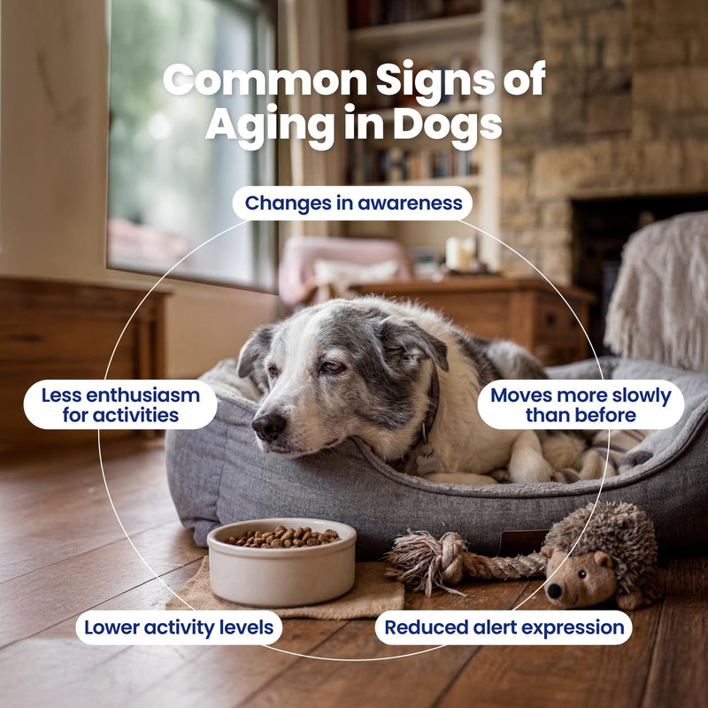 NAD+ Precursor & Senior Dog Supplement - 90 Soft Chews - NMN Alternative for Longevity & Healthy Aging - Nicotinamide Riboside, Resveratrol, Quercetin, Made with Pasture-Raised Chicken Peanut Butter & Chicken