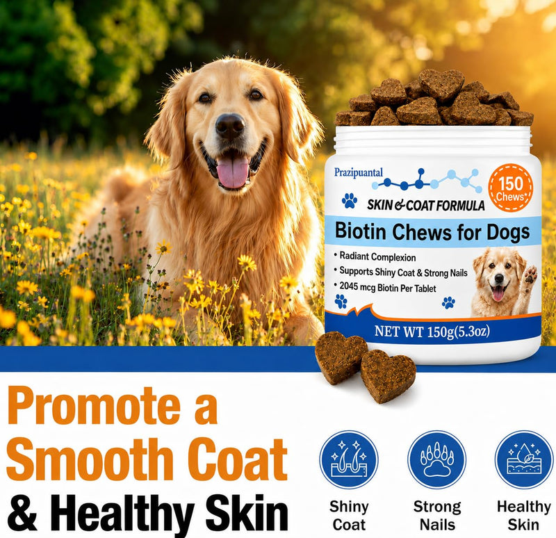 Biotin for Dogs Soft Chews, Skin and Coat Supplement for Dog Shedding and Dry Skin Relief, High Potency Dog Nail Strengthener with 42% Protein and B-Vitamin Complex, Chicken Flavor 150 Count
