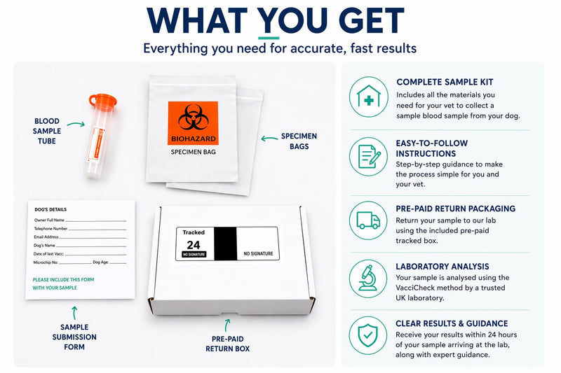 Dragon Lab & Canine Lungworm Test Kit Blood Screening for Dogs | 98.1% Accurate |