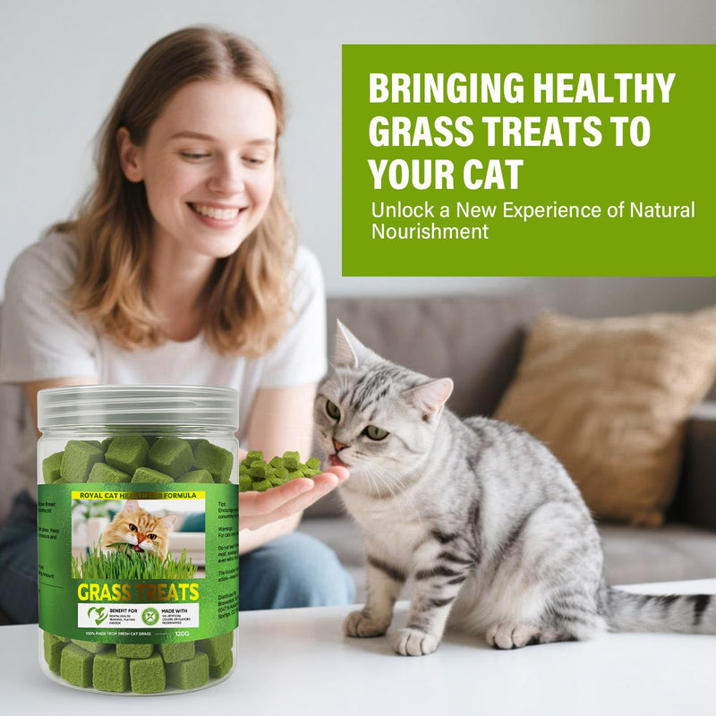 AiRunTech 120g Cat Grass Treats, Cat Grass for Indoor Cats, Fun Daily Snack for Interaction, Pet-Safe Wheatgrass Kit 1 Count (Pack of 1)