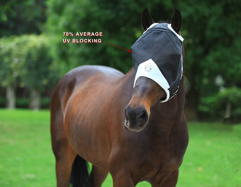 Fine Mesh Horse Fly Mask w/No Ears, UV blocking 3D Eye Visor with extra fleece cushioned forehead, Protection from Insect Pests Cob Black - BeesActive Australia