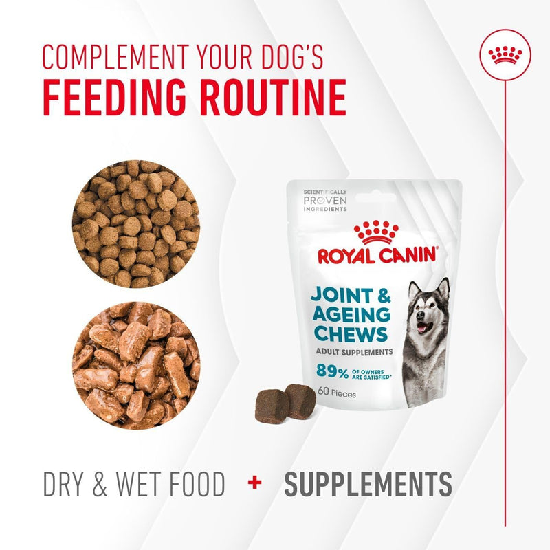 Royal Canin Dog Supplement for Joint & Ageing Soft Chews 240g