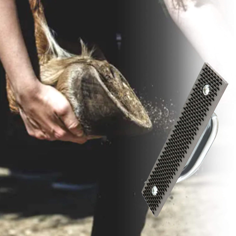 Mini Hoof Rasp, Horseshoe File with Metal Handle, Carbon Steel Farrier File Tool, Suitable for Horse/Goat/Cow/Donkey/Animal Hooves, Strong - BeesActive Australia