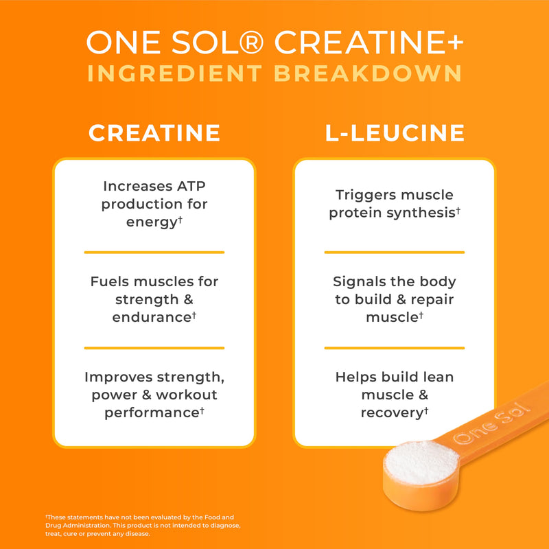 One Sol Creatine for Women Booty Gain, All Natural Women‚Äôs Creatine Powder w Creapure & Leucine, Increase Lean Muscle Mass, Reduce Recovery Time, Promotes Brain & Bone Health (Unflavored, 60 Servings) - BeesActive Australia