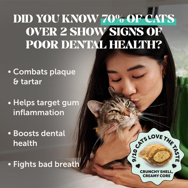Pet Honesty Cat Dental & Multivitamin Chews Virtual Bundle — Fresh Dental Bites + Multivitamin Crunchy & Creamy Chews (30-Day Supply)