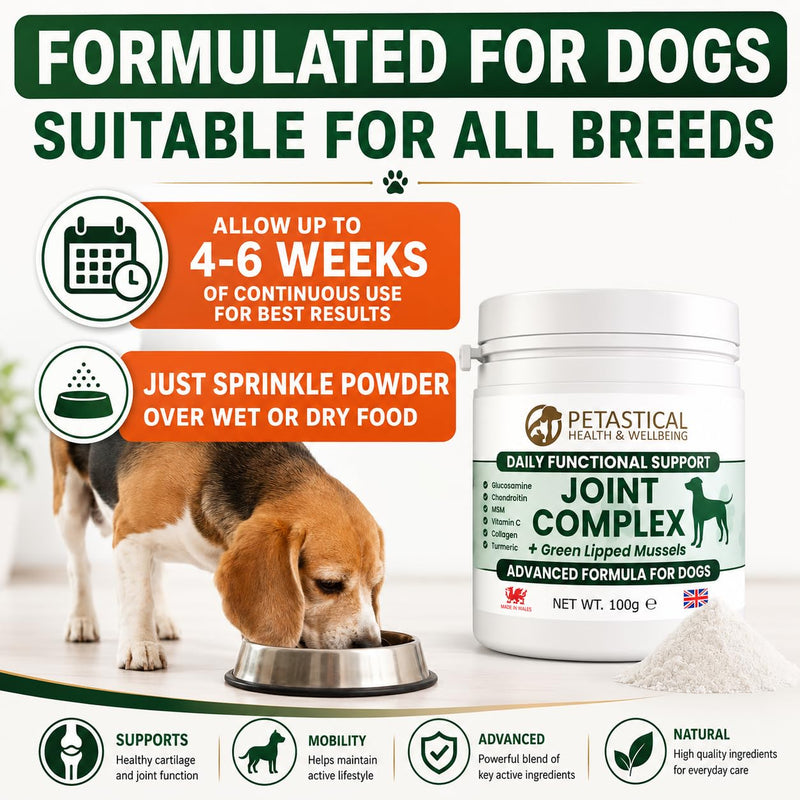 Joint Supplements for Dogs, 800mg Glucosamine, 800mg Chondroitin, 800mg MSM with Added Turmeric and Green Lipped Mussels (100g) 100 Scoop