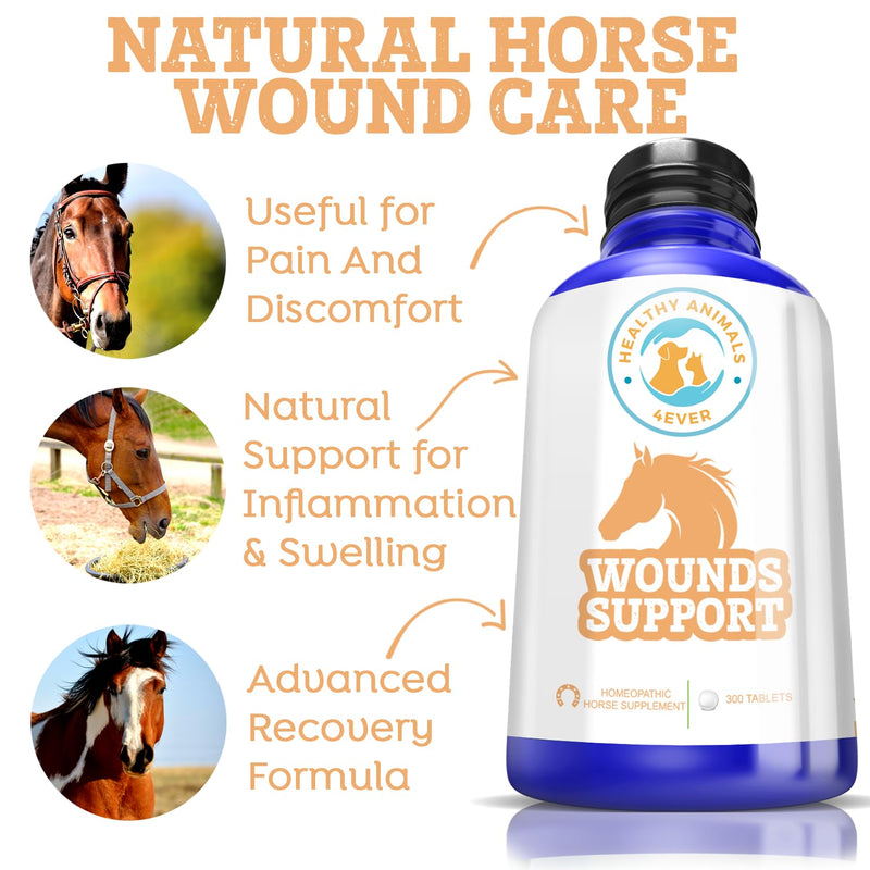 All-Natural Horse Wound Care for Accidents & Injuries - Pellets for Horse First Aid Kit - Homeopathic & Highly Effective - 300 Tablets - BeesActive Australia