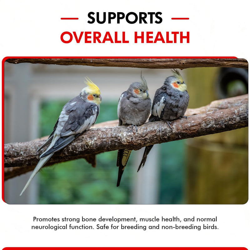 Morning Bird Calcium Plus Liquid for Birds – Calcium Supplement with Vitamins and Minerals for Strong Eggshells, Healthy Bones - Support Growth, Breeding, and Wellness for All Birds 4 Fl Oz