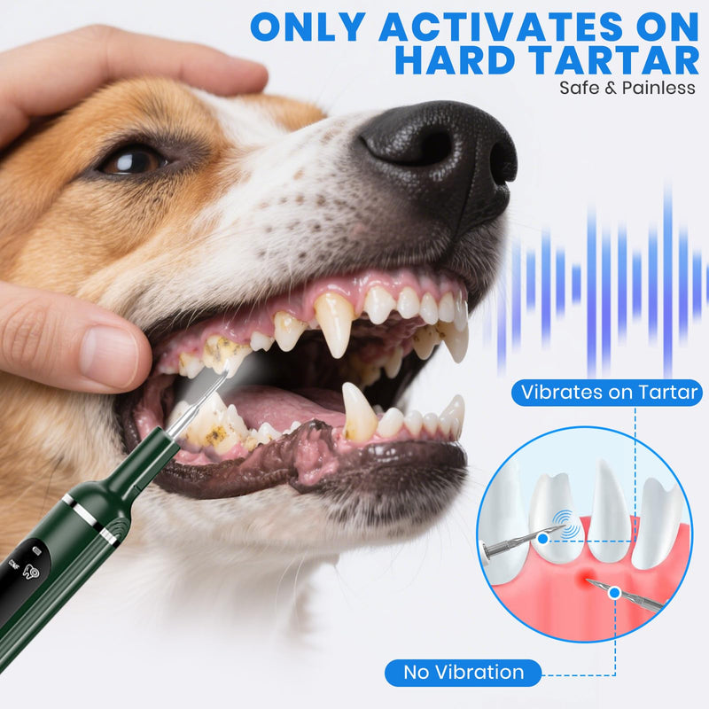 Dog Plaque Remover for Teeth,Pet Ultrasonic Tooth Cleaner with LED Light,Cleaning Kit for Tartar and Stains,5 Adjustable Modes,Pet Teeth Cleaning kit,Suitable for Dogs and Cats (Green) Green