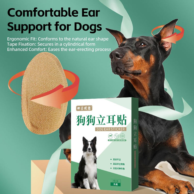 MANON ROSA Dog Ear Posting Kit for Doberman Pinschers - Ear Stand Up Support Tool with Tape for Ear Correction and Vertical Hold (2-Pack) 2-Pack - PawsPlanet Australia