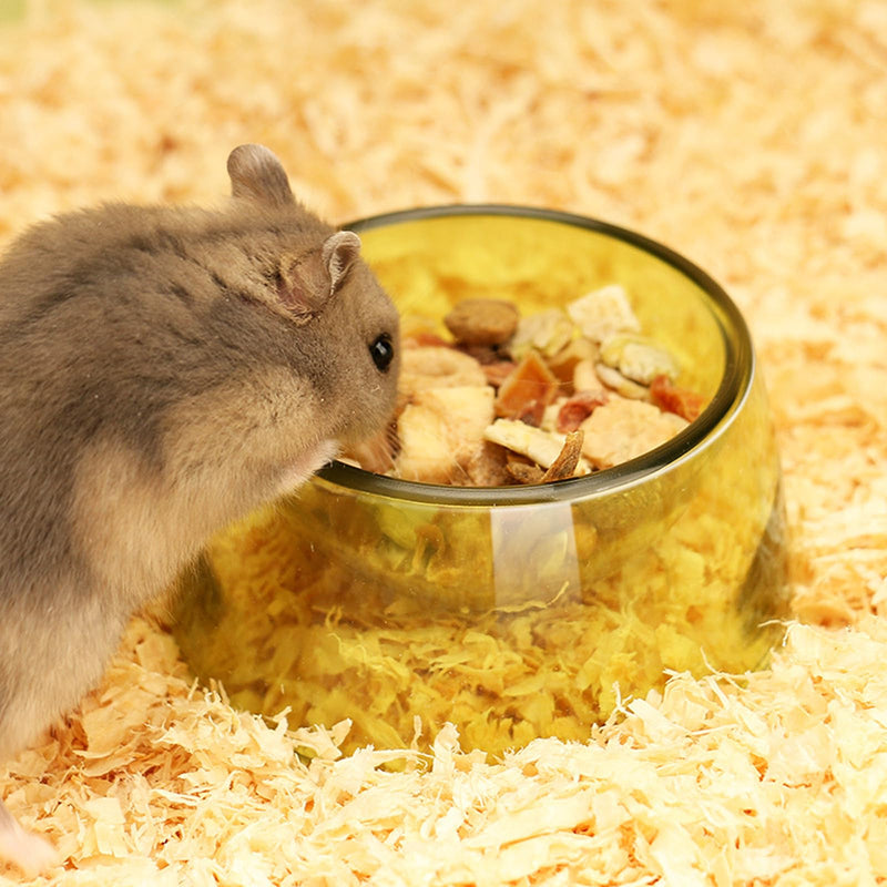 Hamster Food Bowl,Small Animals Food Water Bowl,Water Feeder Container, Hamster Bowls Dwarf Hamster Food Bowl,Hamster Feeding Bowl for Dwarf Hamsters,Mice,Small Animals 3pcs - BeesActive Australia