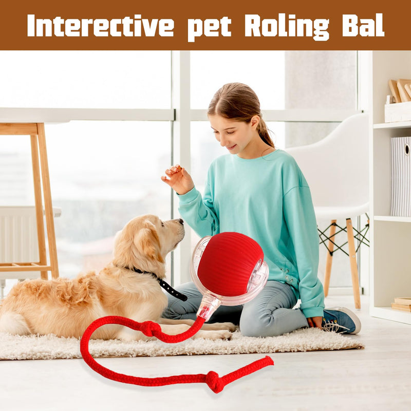 3PC Interactive Dog Toys,Interactive Dog Ball Electric Dog Ball Toy Rollie Pet Cat Toy Interactive Rolling Ball Cat Toy 360° Automatic Rolling Toy Ball for Dog/Cat (Red+Green+Grey) 3pc red,green,gray - BeesActive Australia