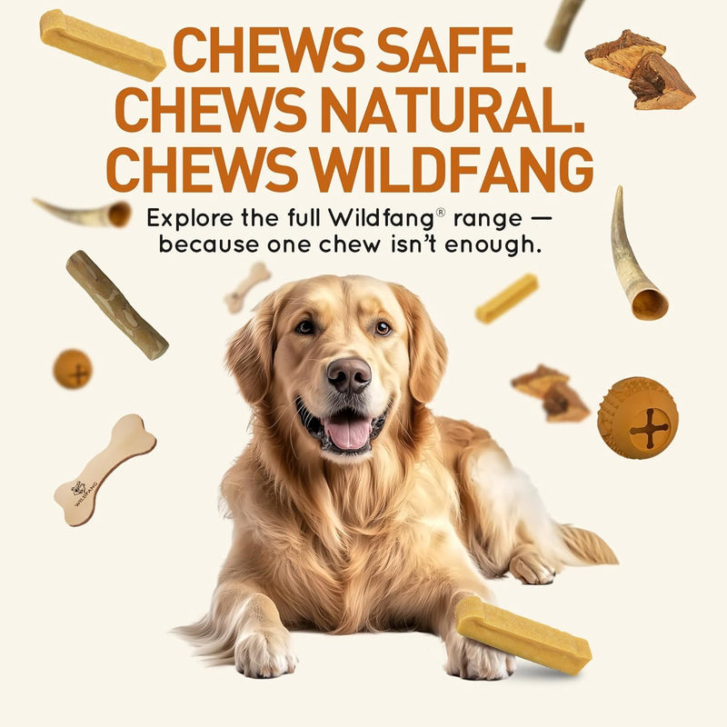 Wildfang® Yak Chews, Medium for Dogs 33-55 lbs – Dog Dental Chew Stick, Hardness Like Himalayan Yak Cheese, Churpi-Style Cheese Sticks, Dog Treats & Puppy Training Treats, Approx 3 oz, Pack of 6 3 Ounce (Pack of 6)