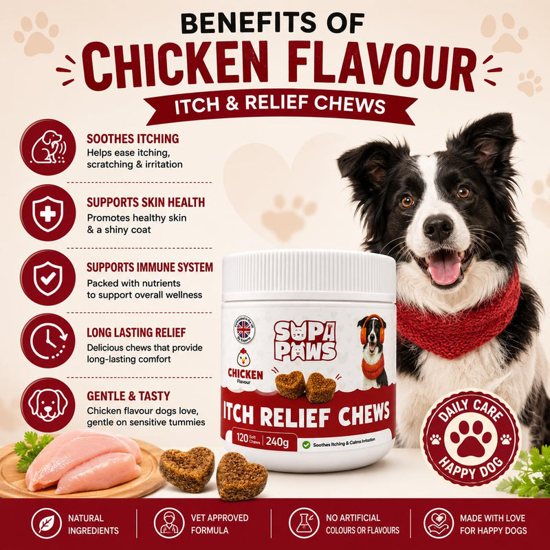 120 Soft Chews All Itch & Immunity Treats for Dogs Allergy Relief Chews for Healthy Skin & Coat Ears Itching Licking Scratching Daily Immune Support for All Breeds, Supports Seasonal Itching, Chicken 240g - Chicken