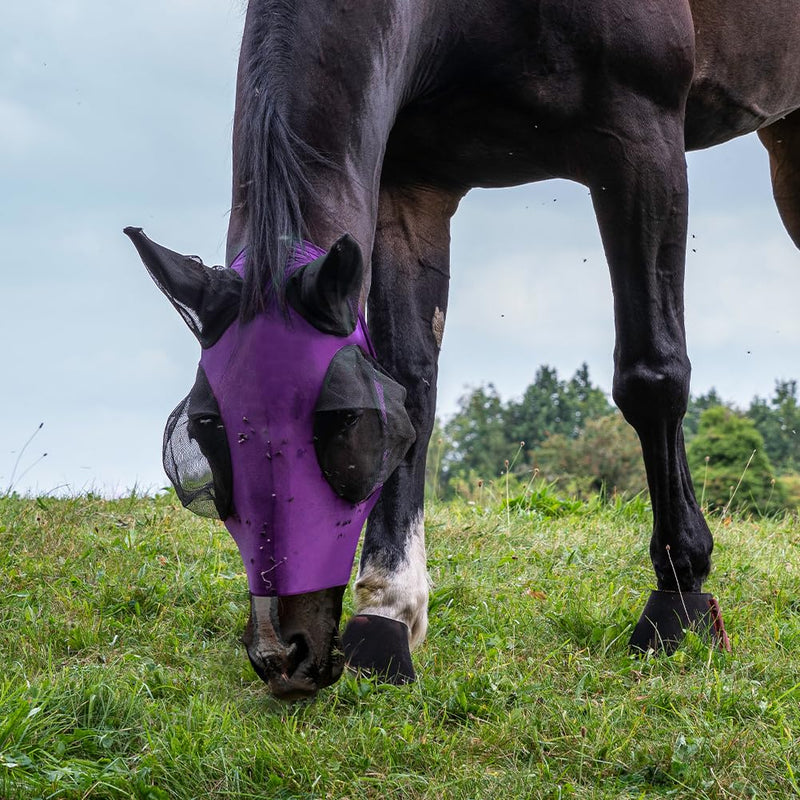 Adiwo Fly Mask Horse UV Protection, Super Comfort Stretchy Horse Fly Mask with Large Eye Space Elastic Horse Fly Mask with Ear Protection Fly Hood Horse Fly Mask Breathable Skin-Friendly Purple - BeesActive Australia