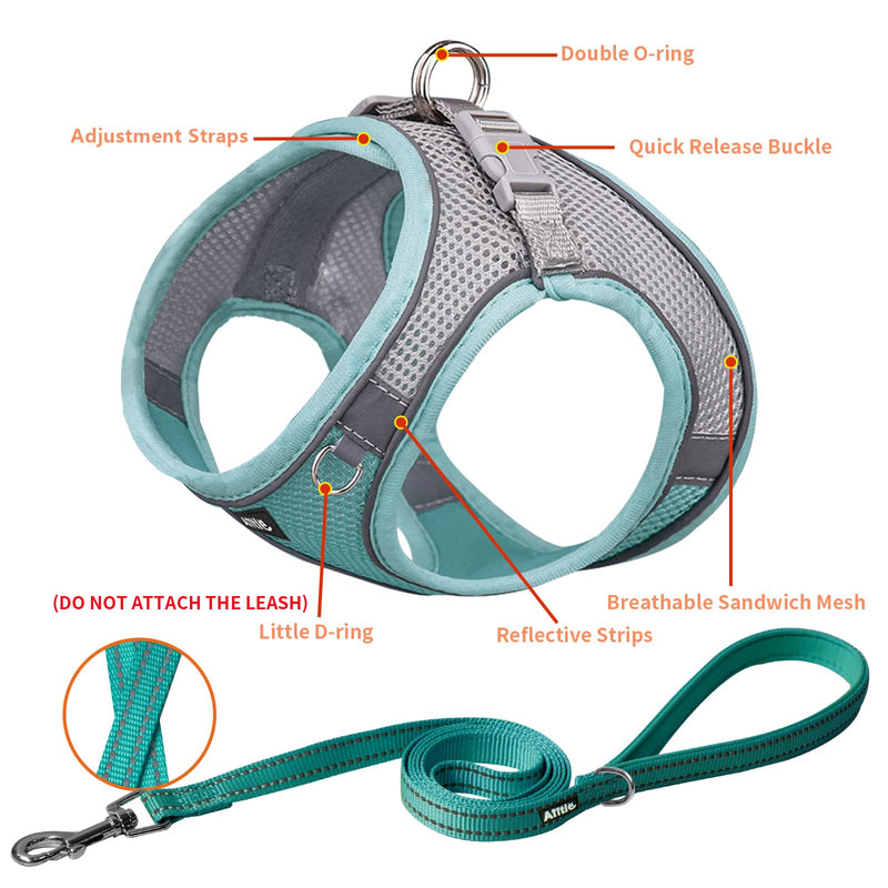 AIITLE Anti-Pull Dog Harness, Adjustable Dog Harness with Padded Vest, Easy to Wear for Small to Medium Dogs, Turquoise S - BeesActive Australia