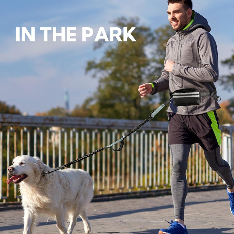Hands Free Dog Leash with Pouch, Double Leash for Two Dogs, Retractable Bungee with Double Padded Handles, Dog Waist Leash for Dog Walking, Running Leash for Dogs, Dog Walking Accessories 2 Leashes Black/Grey - BeesActive Australia