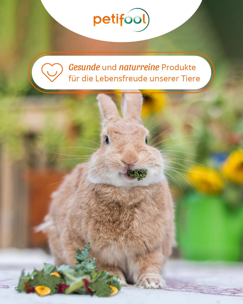 petifool Herb Garden 400g - supplementary food for rodents - natural rodent food for rabbits, guinea pigs, hamsters, chinchillas & more - without artificial additives - 100% natural, species-appropriate food 400g (pack of 1) - BeesActive Australia