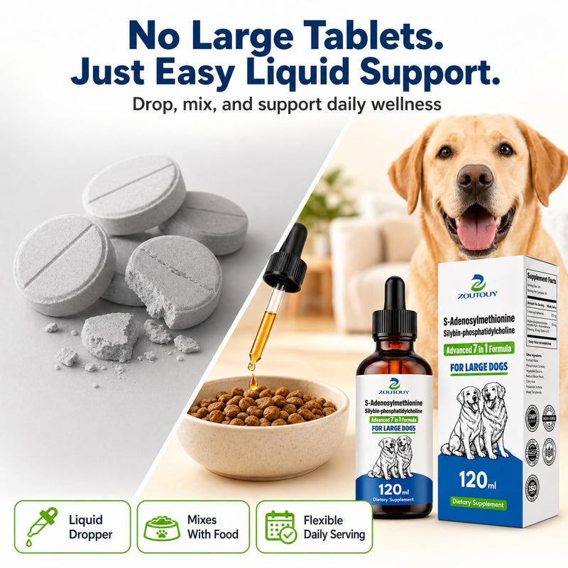Same for Dogs Liquid Drops with Silybin, Milk Thistle, Choline, Artichoke, Dandelion & Curcumin, Dog Liver Support Supplement, Positive Mood & Daily Wellness Formula,Same for Dogs Liquid (120ml) 120ml