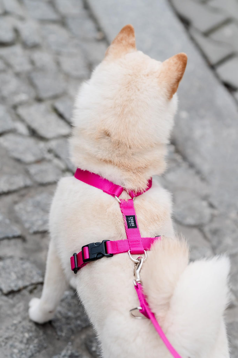 Chaba Guard Dog Harness for Small and Medium Dogs with Control, Anti-Pull & Choking, Adjustable, Comfortable and Lightweight, Classic Step-in Chest Harness, Dog Harness, Size M, Fuschia Pink - BeesActive Australia