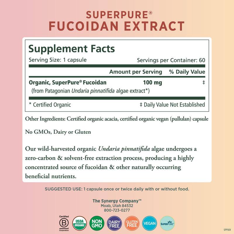 PURE SYNERGY SuperPure Fucoidan Extract (60 Capsules) | Gluten-Free Fucoidan from Organic Brown Seaweed, For Immune Health, Digestion, & Healthy Aging Support