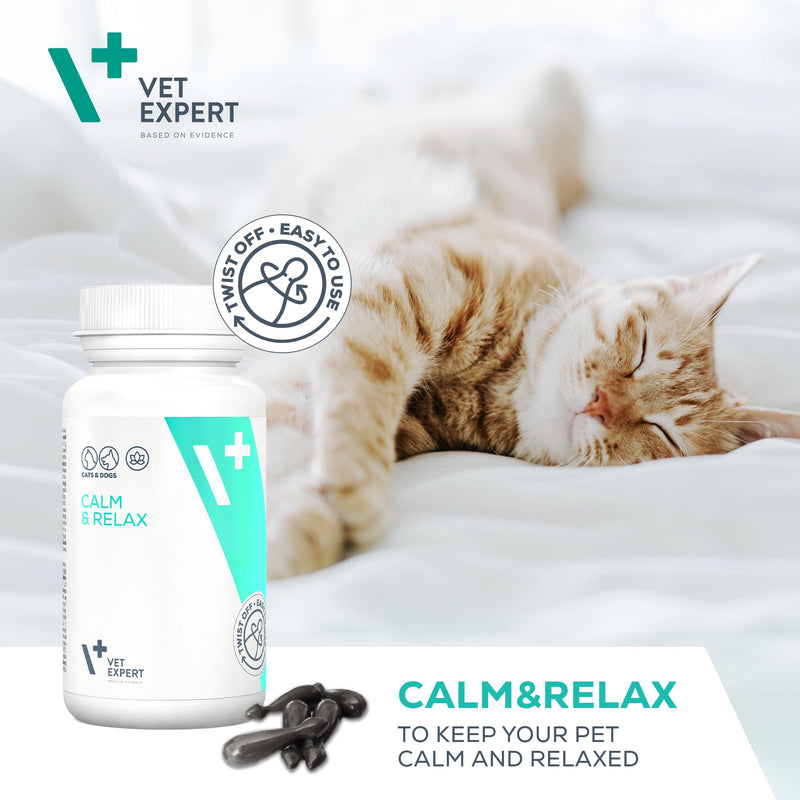 Vet Expert Calm & Relax Supplement for Dogs and Cats – Reduces Stress and Anxiety with Tryptophan, Valerian Extract, Taurine, and Green Tea Leaf Extract – 30 Twist-Off Capsules