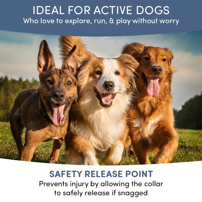 Flea and Tick Collar for Dogs and Cats- Lasts Up to 8-Months Using Natural Plant-Based Oils - Safe for Pets, People and The Environment - 2-Pack Flea Collar for Dogs and Cats - BeesActive Australia